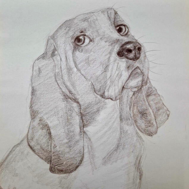 Colored Pencil